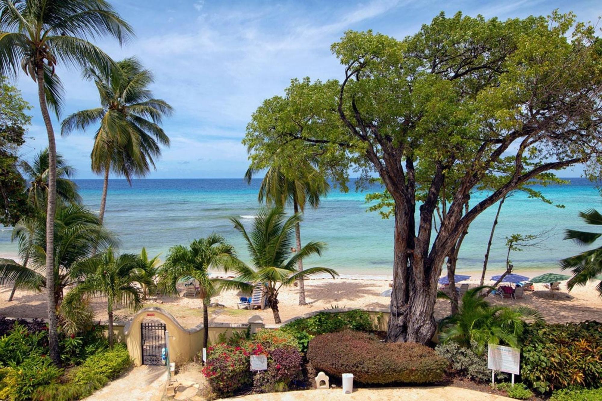 Sapphire Beach Condos Christ Church Rom bilde